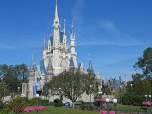 wdwpic1