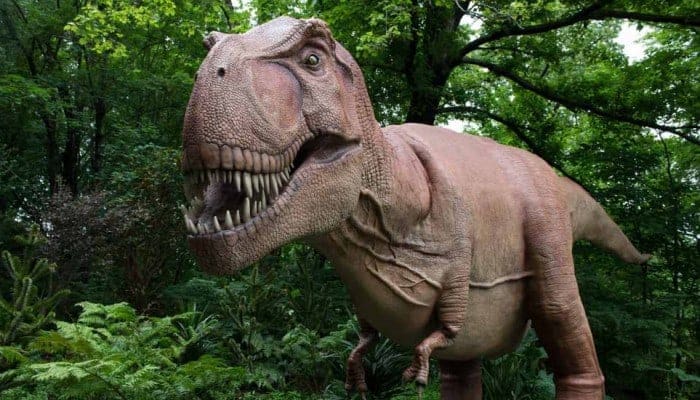 Dinosaur-Tyrannosaurus