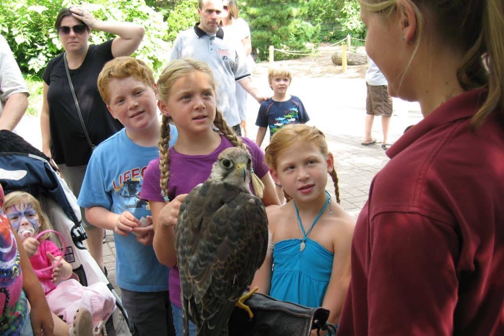 May is Birdathon and Bird Migration Month at the Bronx Zoo 
