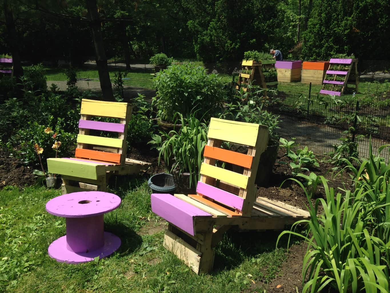 june-events-at-the-bronx-zoo-children-s-zoo-opens-children-s-garden