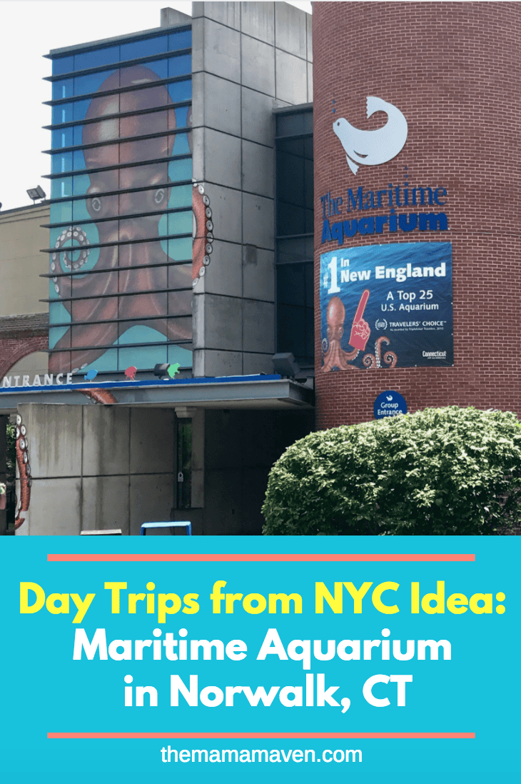 day-trips-from-nyc-idea-visiting-the-maritime-aquarium-in-norwalk-ct