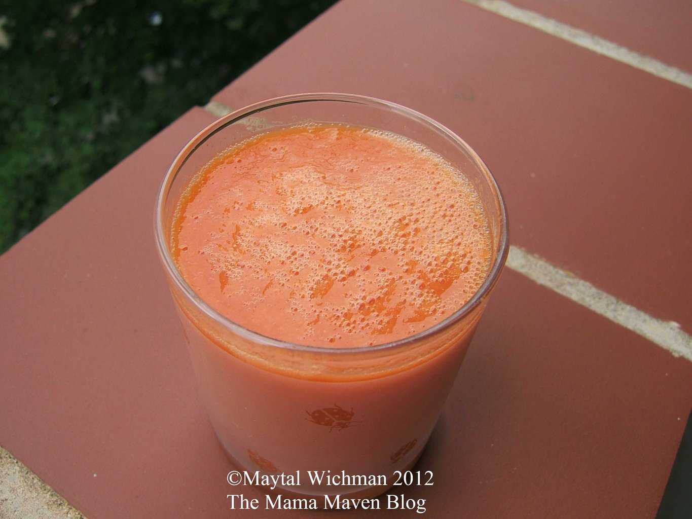 Blendtec Total Blender Classic The Workhorse of the ModernDay Kitchen The Mama Maven Blog