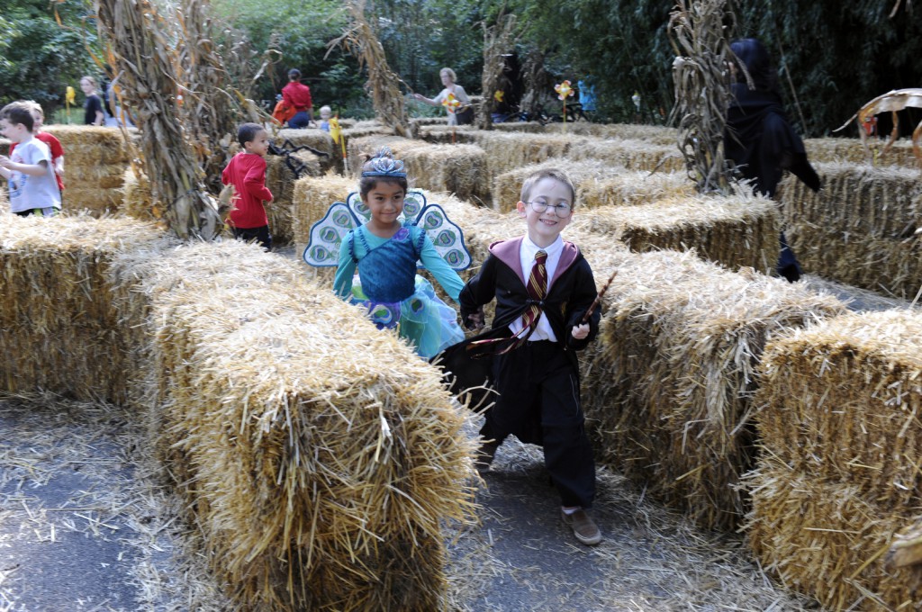 TombstonesHay MazeHay RideVisitors in Costumes