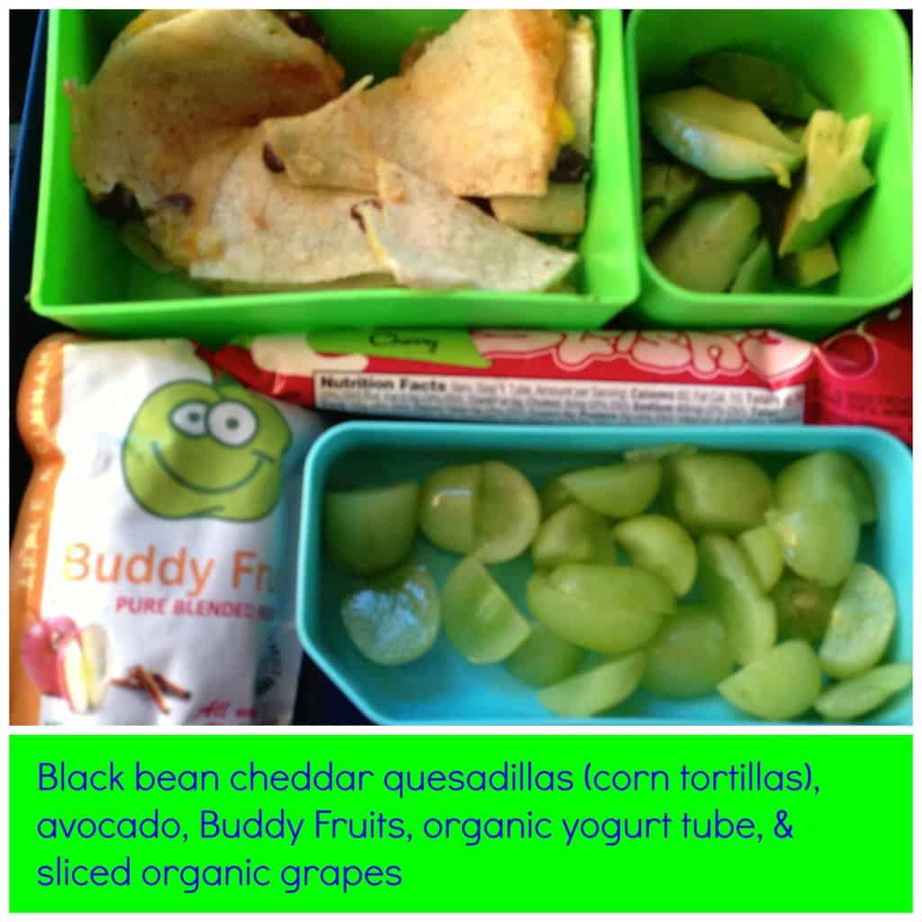 Back To School Lunch Ideas For Ultra Picky Eaters Back To School Lunch Ideas For Ultra Picky Eaters