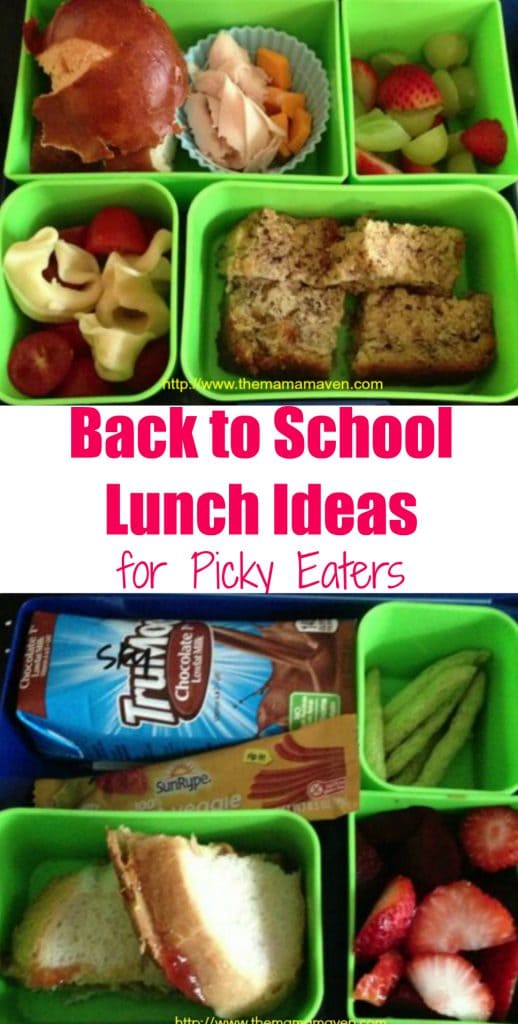 Back to School Lunch Ideas for PIcky Eaters | The Mama Maven Blog