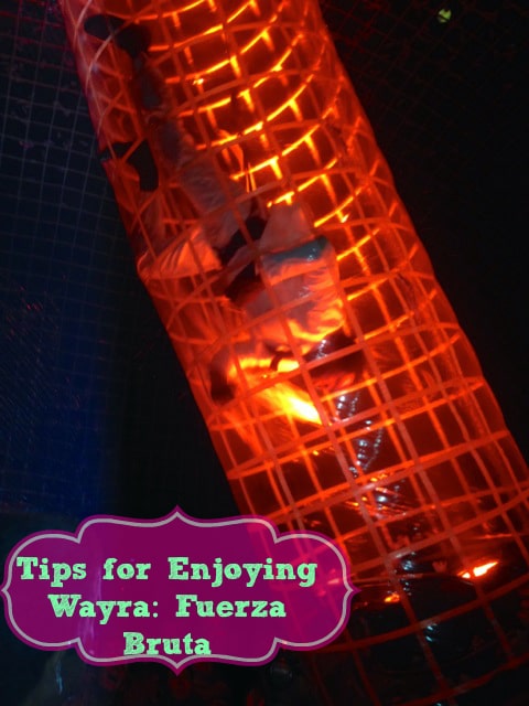 Tips for Enjoying Wayra Fuerza Bruta #NYC via @themamamaven