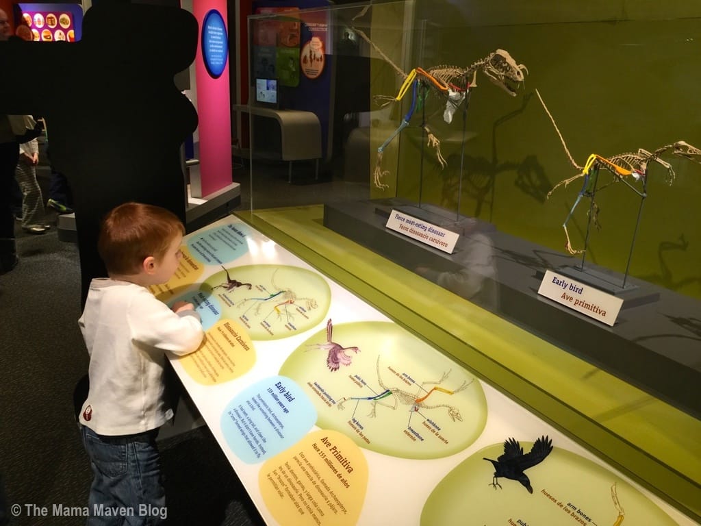 NYC Love A Day at the NY Hall of Science in Corona, Queens, NYC The