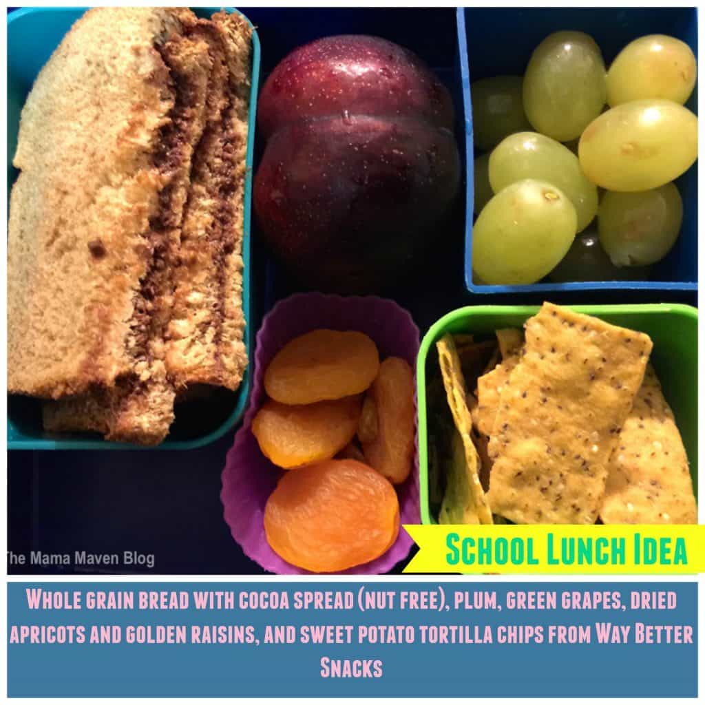 School Lunch Ideas for Kids #kids #pickyeaters #SchoolLunches #bentos via @themamamaven #lunchideas 