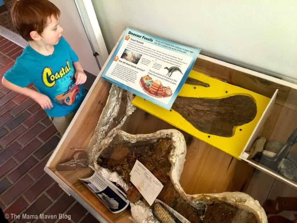 A Day at Sugar Sand Park's Science Explorium and Science Playground, Boca Raton, FL | The Mama Maven Blog