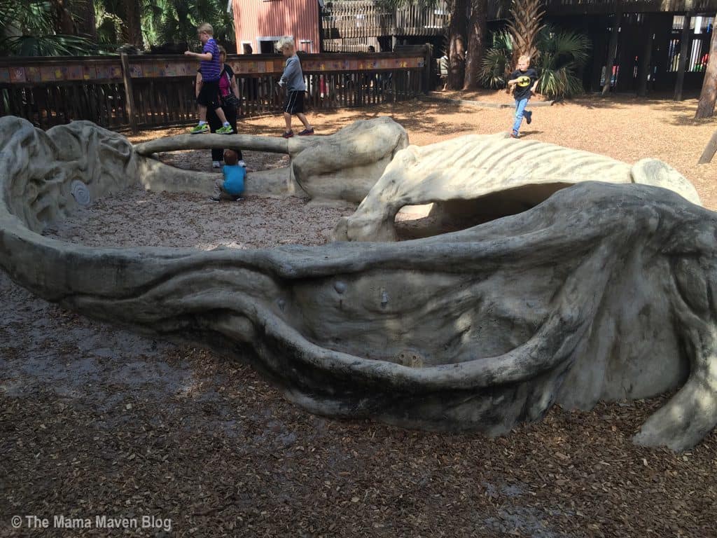 A Day at Sugar Sand Park's Science Explorium and Science Playground, Boca Raton, FL | The Mama Maven Blog