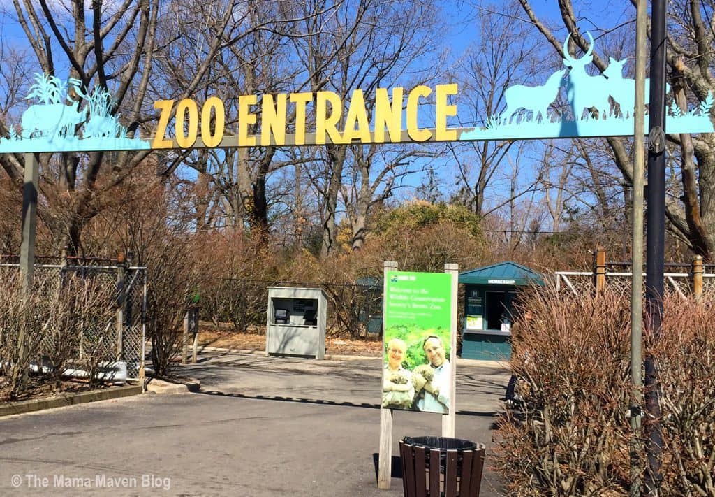 Check Out 120 Ways NY is Wild (+ Ticket Discount for WCS Parks) #NYisWild | The Mama Maven Blog @BronxZoo 