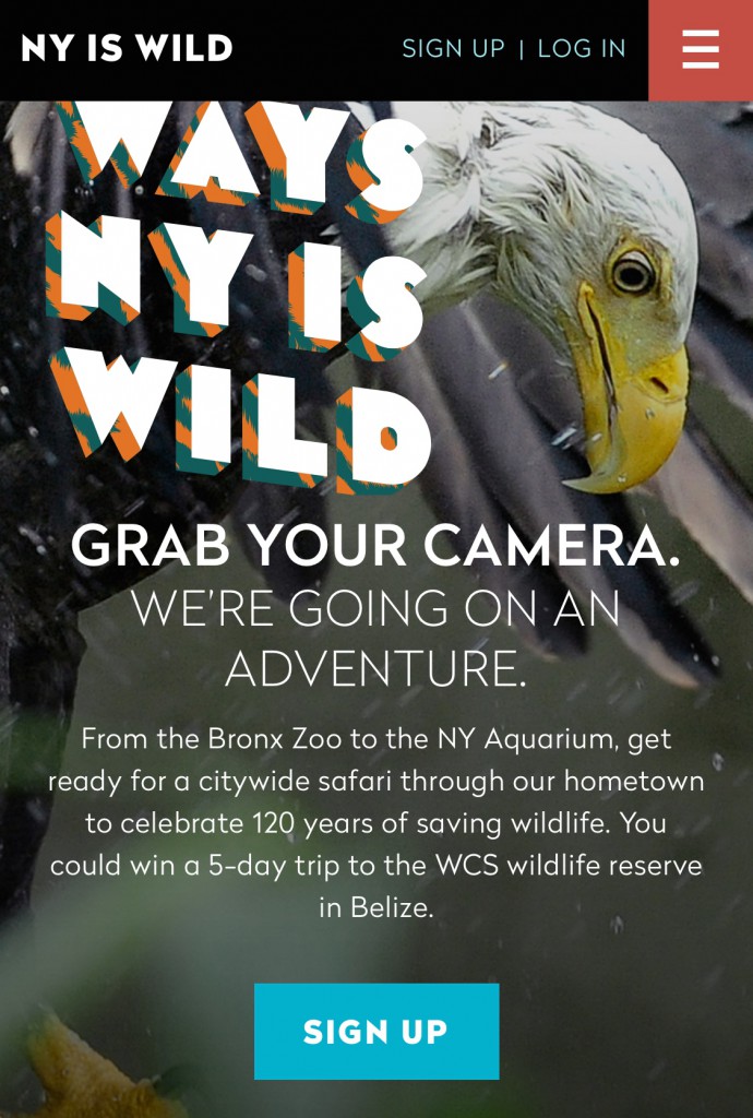Check Out 120 Ways NY is Wild (+ Ticket Discount for WCS Parks) #NYisWild | The Mama Maven Blog @BronxZoo 