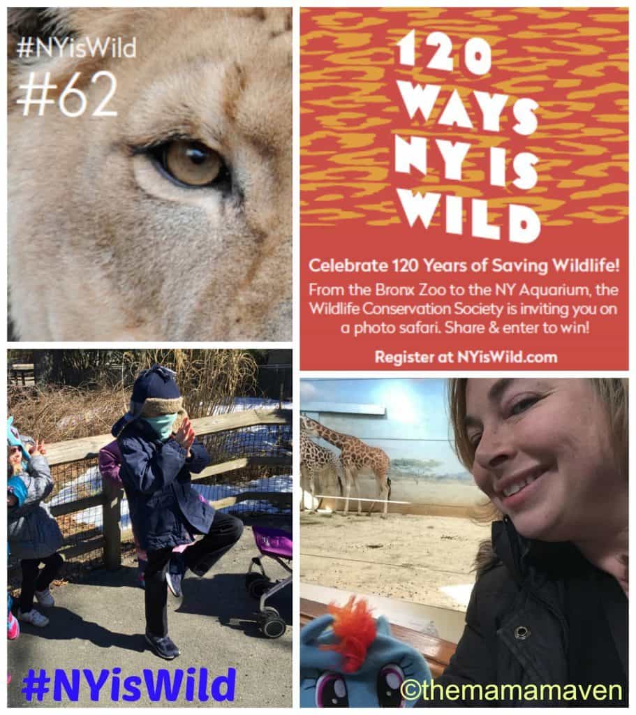 120 Ways NY is Wild #NYisWild | The Mama Maven Blog 
