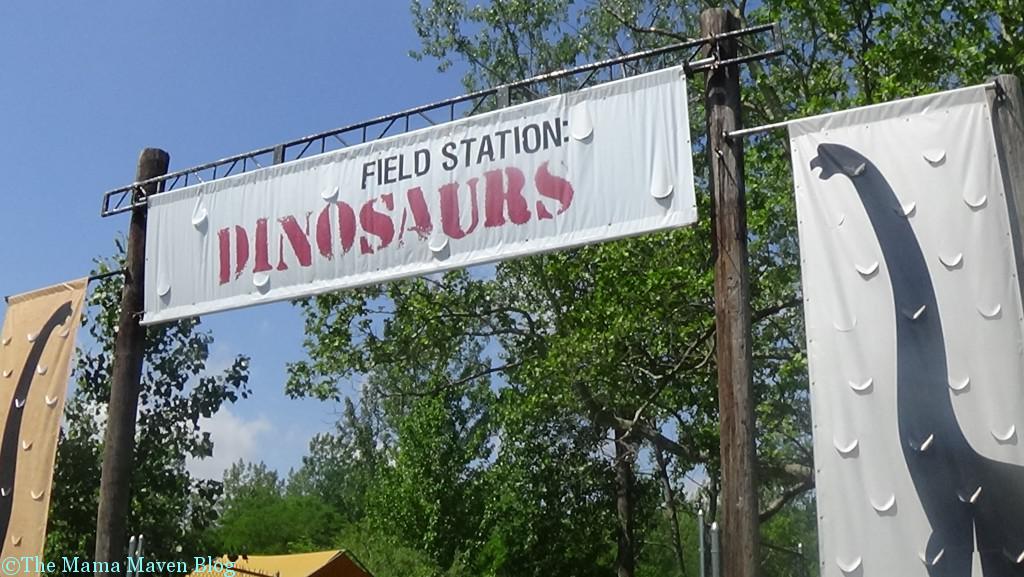 Field Station Dinosaurs - A Roaringly Fun and Educational Time | The Mama Maven Blog