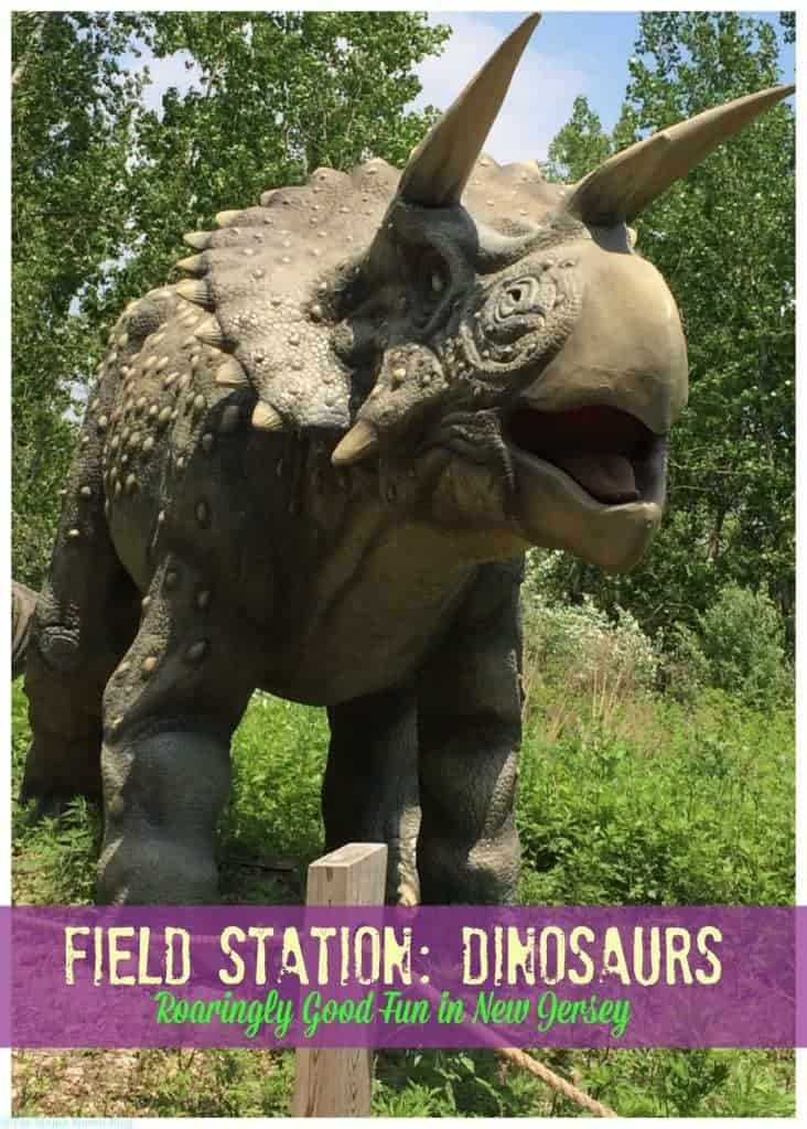 Field Station Dinosaurs - A Roaringly Fun and Educational Time | The Mama Maven Blog