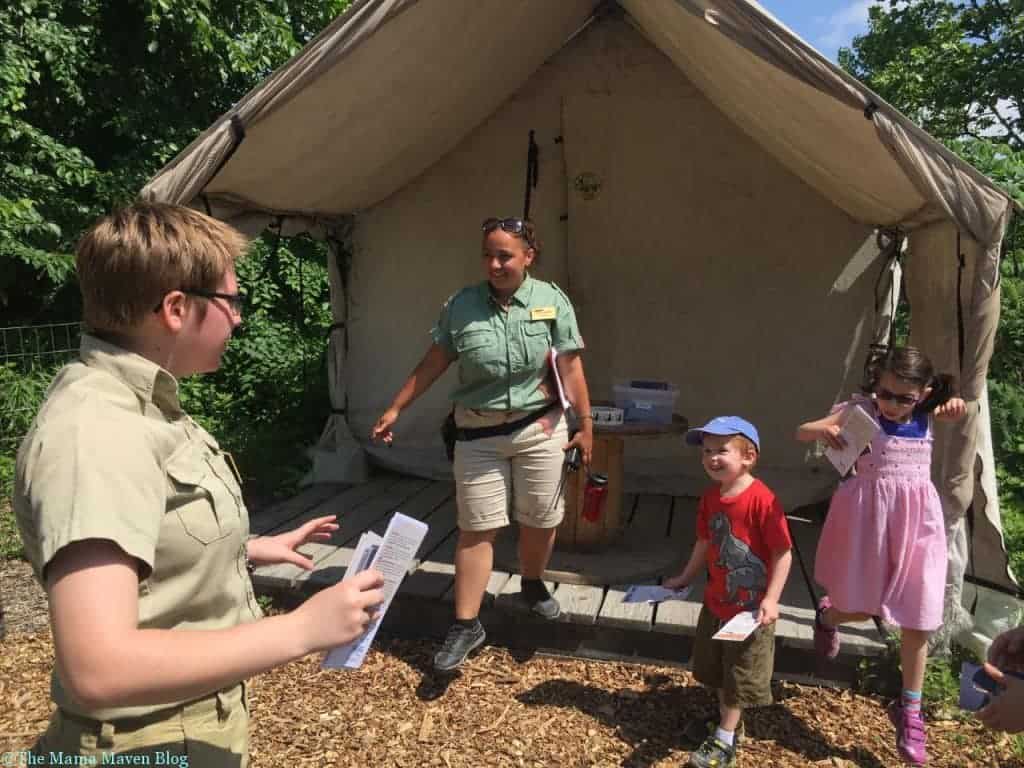 Field Station Dinosaurs - A Roaringly Fun and Educational Time | The Mama Maven Blog