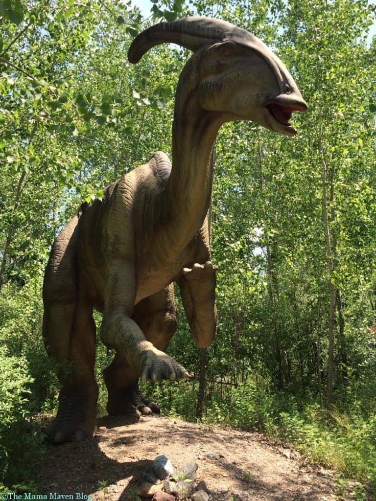Field Station Dinosaurs - A Roaringly Fun and Educational Time | The Mama Maven Blog