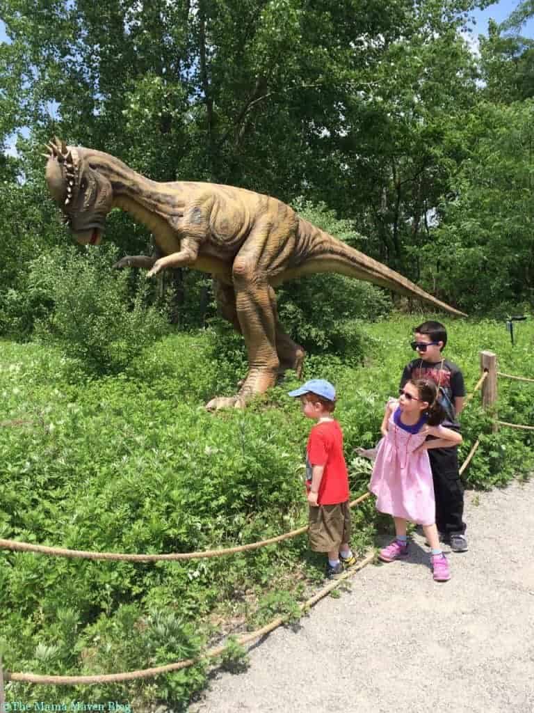 Field Station Dinosaurs - A Roaringly Fun and Educational Time | The Mama Maven Blog