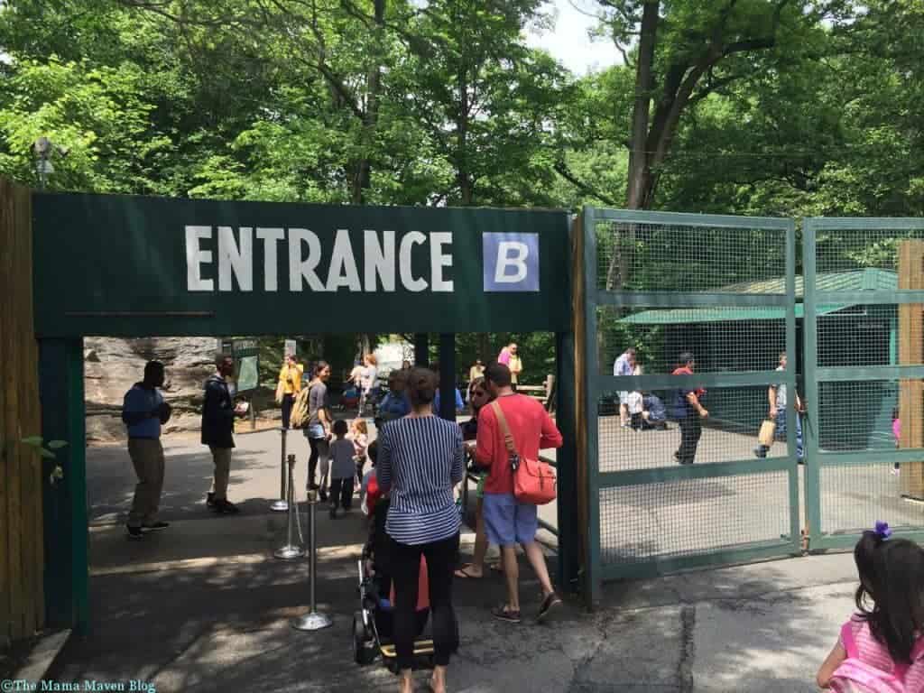 Bronx Zoo Children's Zoo Reopens [VIDEO] | The Mama Maven Blog