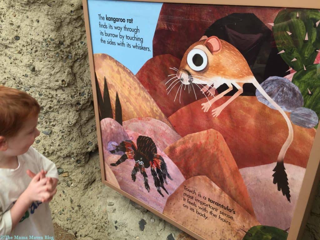 Bronx Zoo Children's Zoo Reopens [VIDEO] | The Mama Maven Blog