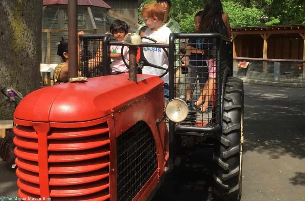 Bronx Zoo Children's Zoo Reopens [VIDEO] | The Mama Maven Blog