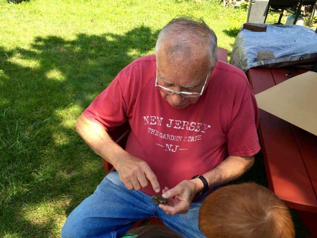 My father shows my children a dead wasp's nest. Flavor Your Adventure with Blue Diamond Almonds #FlavorYourAdventure #AD @BlueDiamond | The Mama Maven Blog 