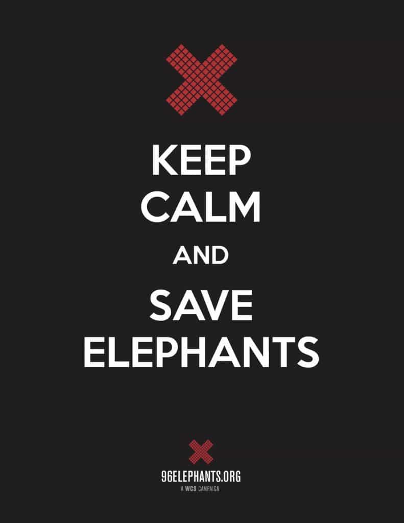 World Elephant Day is August 12 & How You Can Help Save Elephants  | The Mama Maven Blog @BronxZoo #BeHerd @96Elephants #STAMPede  