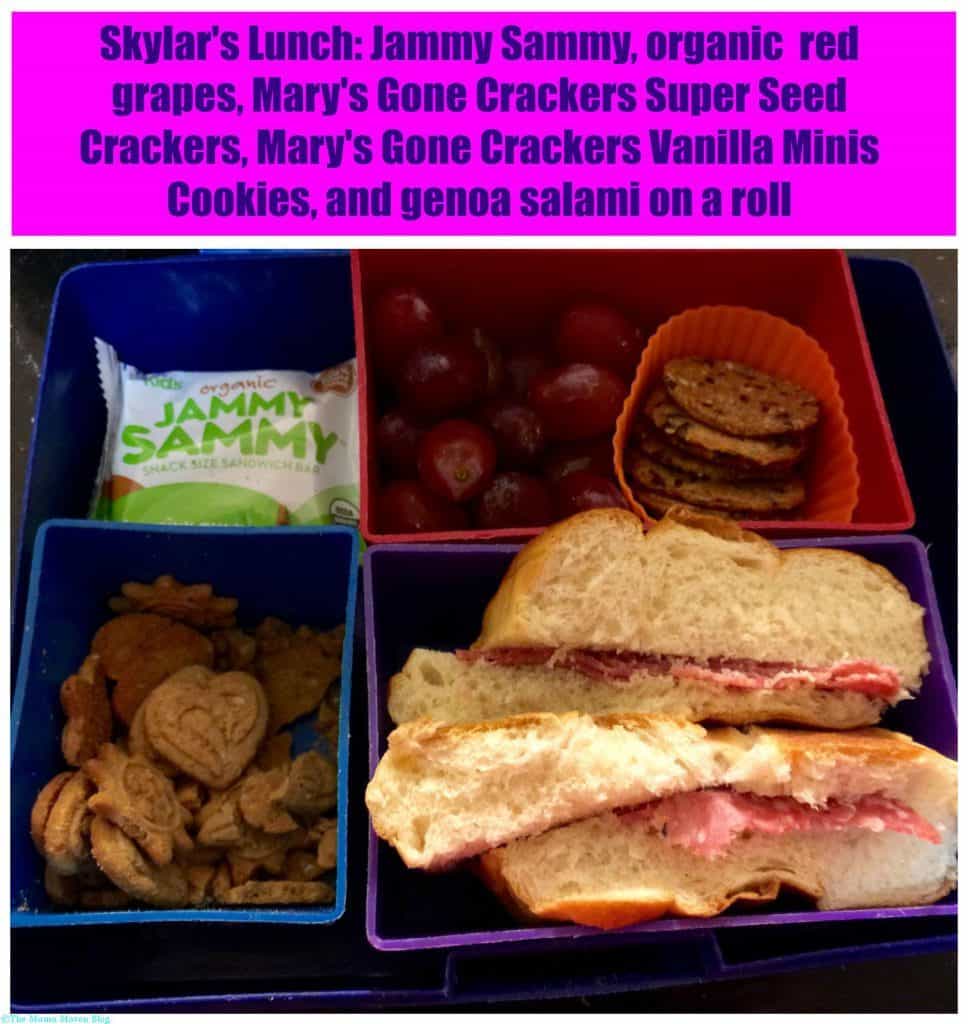 Back to School Lunch Idea - Mary's Gone Crackers Review and Giveaway (Ends 9/4) #MomBlogTourFF | The Mama Maven Blog @GoneCrackers #glutenfree