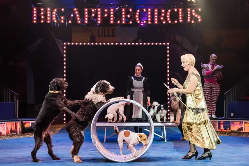 Big Apple Circus | The Mama Maven Blog