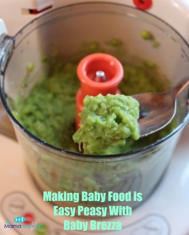 Baby Brezza Baby Food Maker Review | The Mama Maven Blog