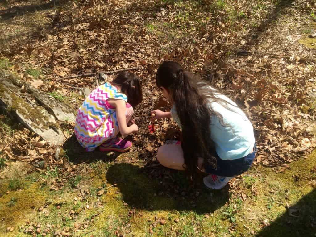 Explore the Outdoors with PBS Kids | The Mama Maven Blog