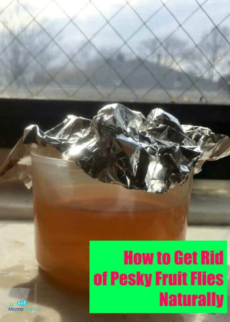 How To Get Rid of Pesky Fruit Flies Naturally | The Mama Maven Blog