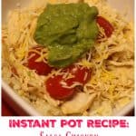 Instant Pot Recipe Salsa Chicken | The Mama Maven Blog