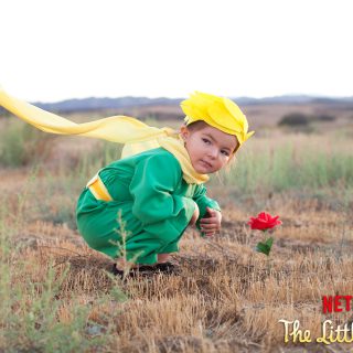 The Little Prince Costume from Willow #streamteam