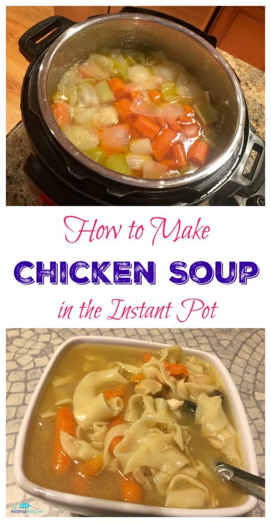 How to Make Chicken Soup in the Instant Pot | The Mama Maven Blog