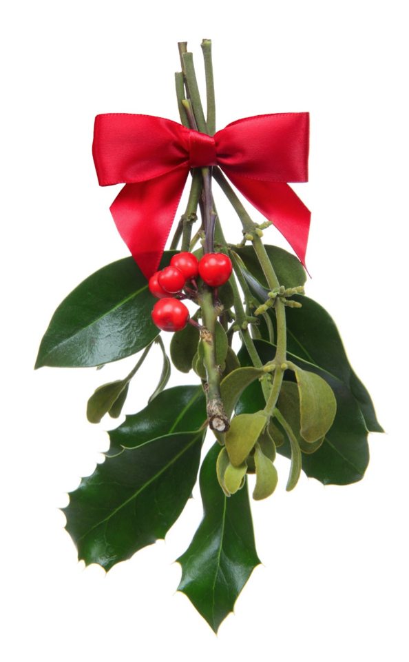 mistletoe