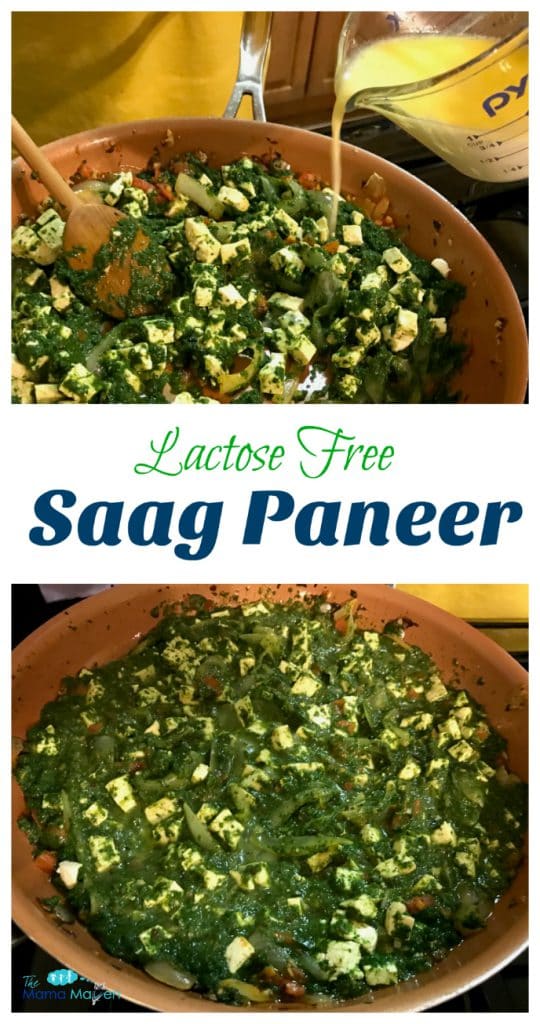 Lactose Free Saag Paneer Recipe | The Mama Maven Blog