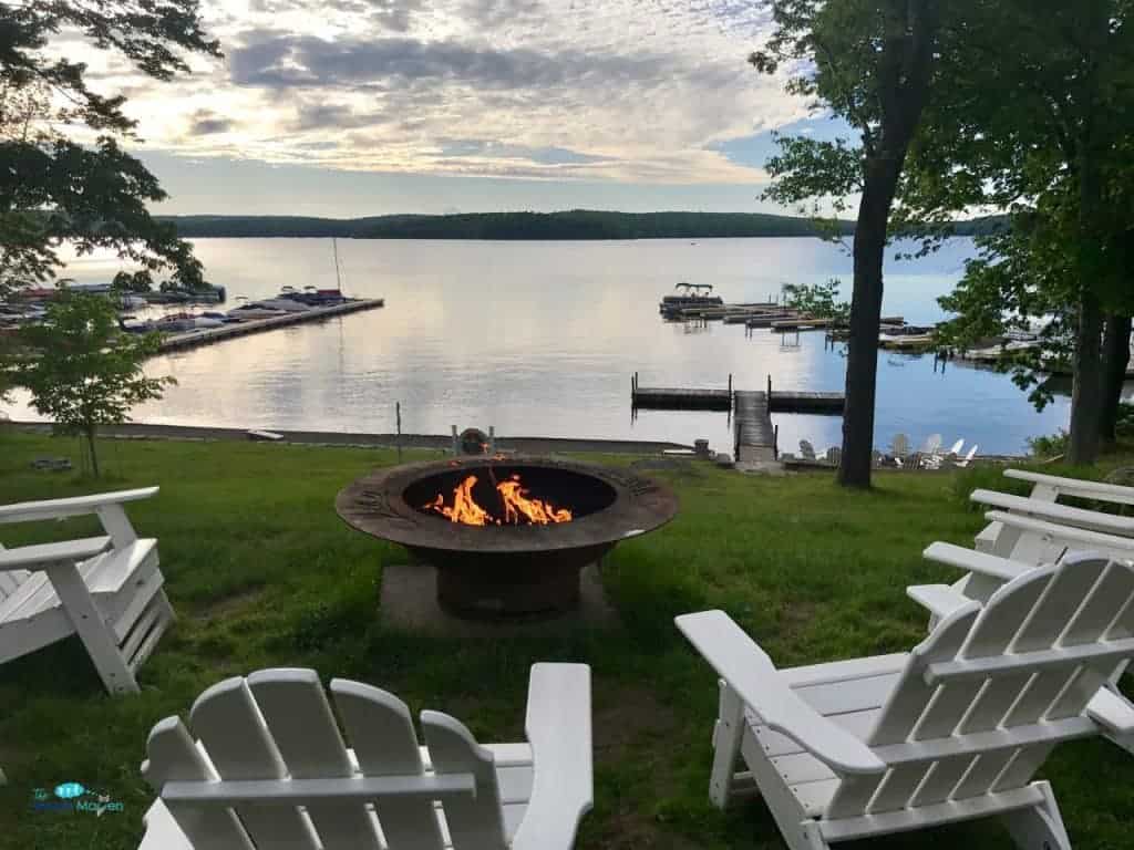 View at Silver Birches