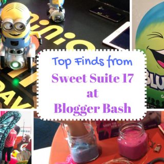 Top Finds From Sweet Suite 17 at Blogger Bash | The Mama Maven Blog