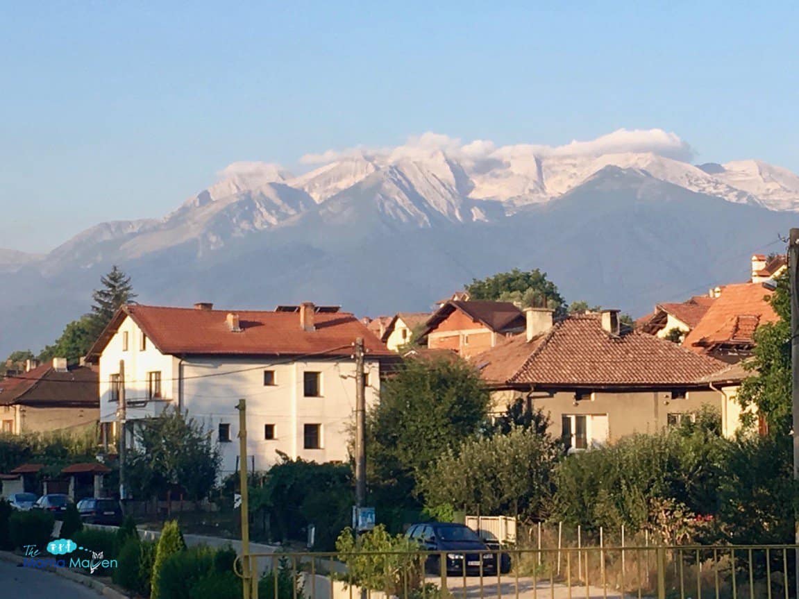 Volunteering Vacations What It's Like to Work on an Archaeological Dig