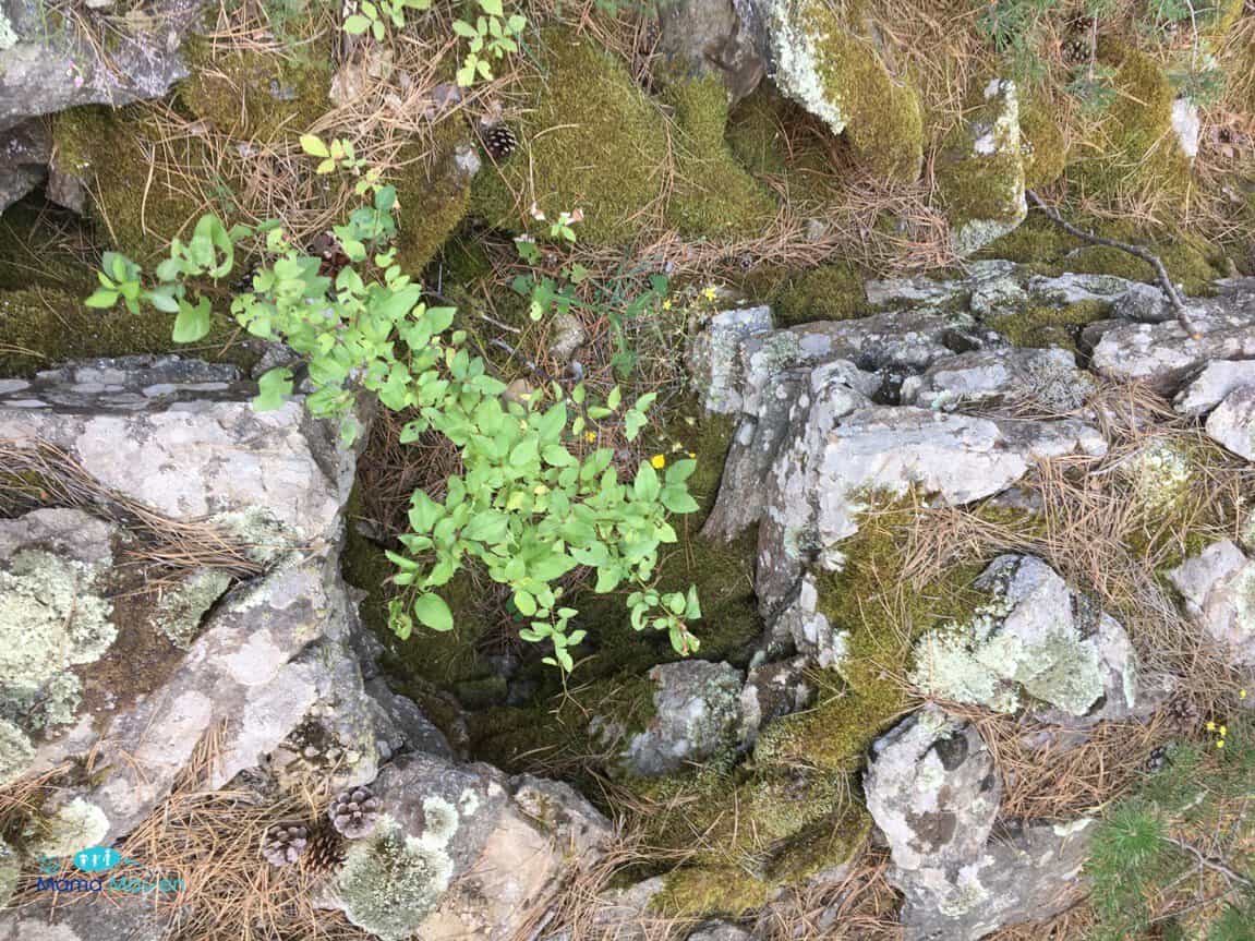 Volunteering Vacations What It's Like to Work on an Archaeological Dig