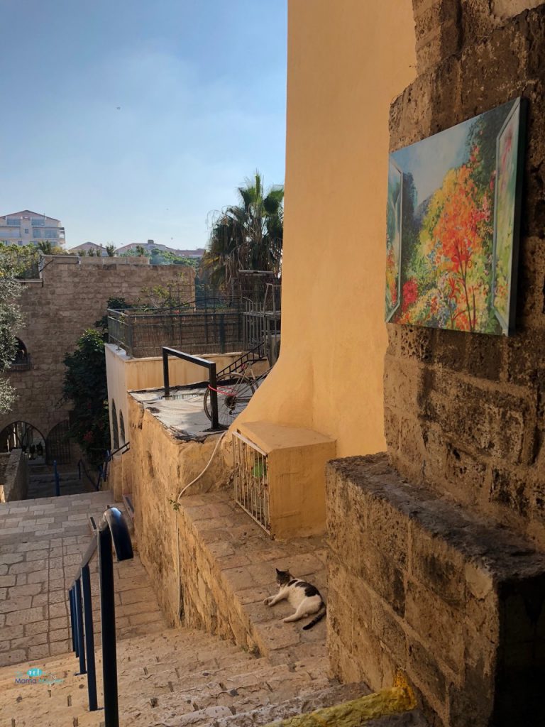 Jaffa| The Israel Diaries: Arrival and 1st Full Day | The Mama Maven Blog