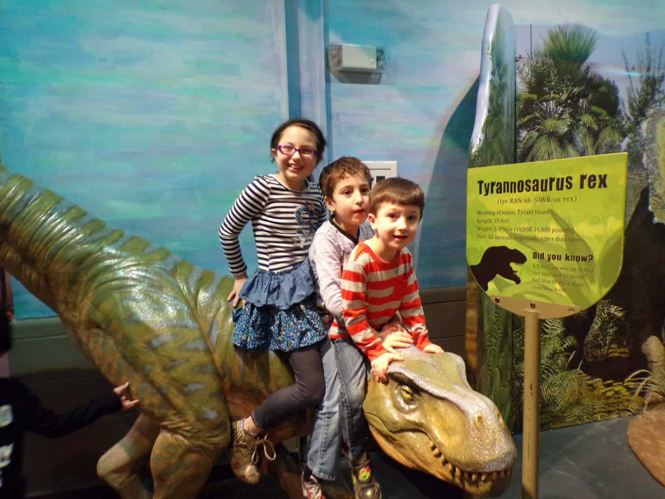 dinosaur exhibit