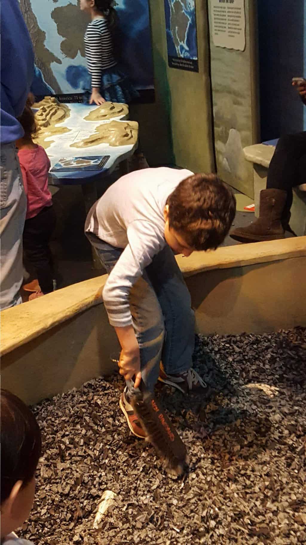 We Checked Out the New Dinosaur Exhibit at the Long Island Children's