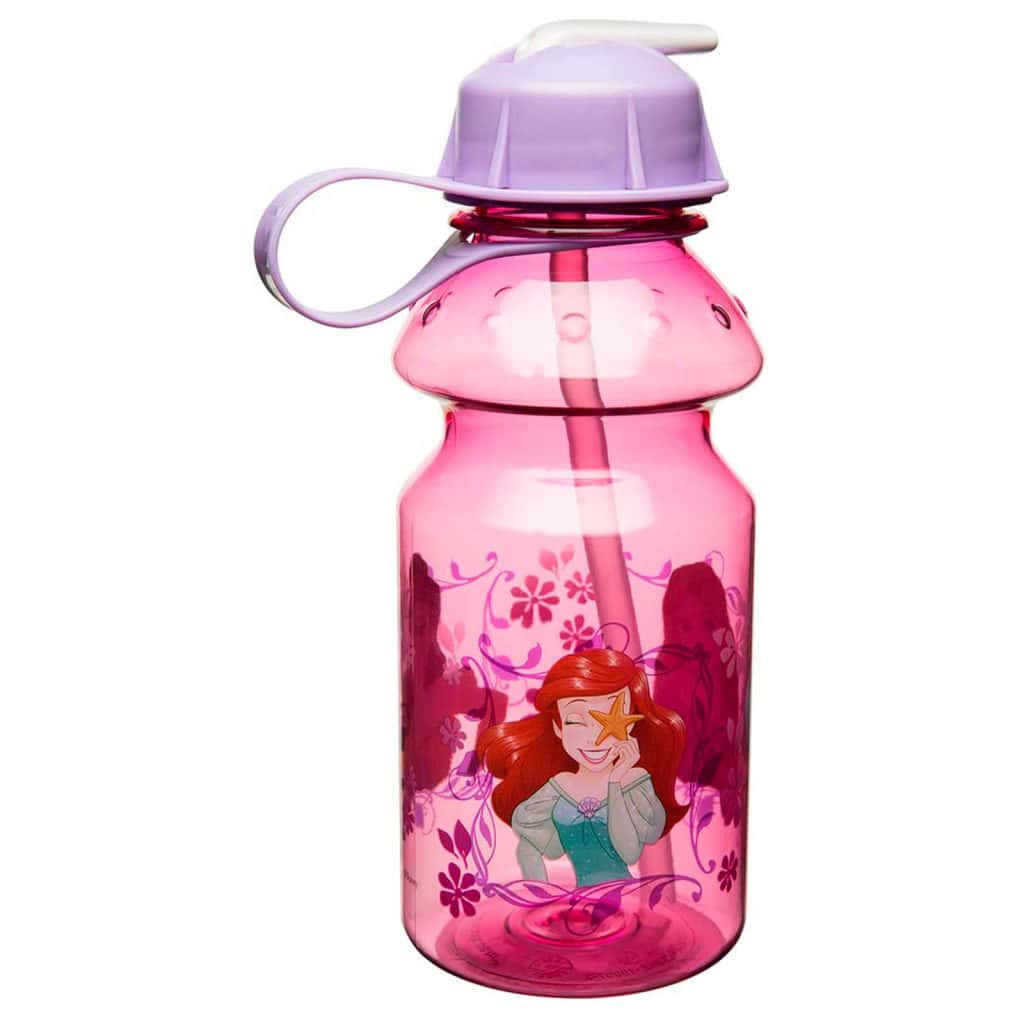 Zak! Disney Stainless Steel Insulated Water Bottle Princess - 20 oz