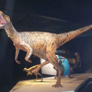 Special Exhibit: T-Rex: The Ultimate Predator at American Museum of Natural History | The Mama Maven Blog