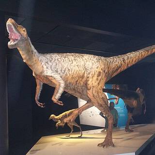 Special Exhibit: T-Rex: The Ultimate Predator at American Museum of Natural History | The Mama Maven Blog