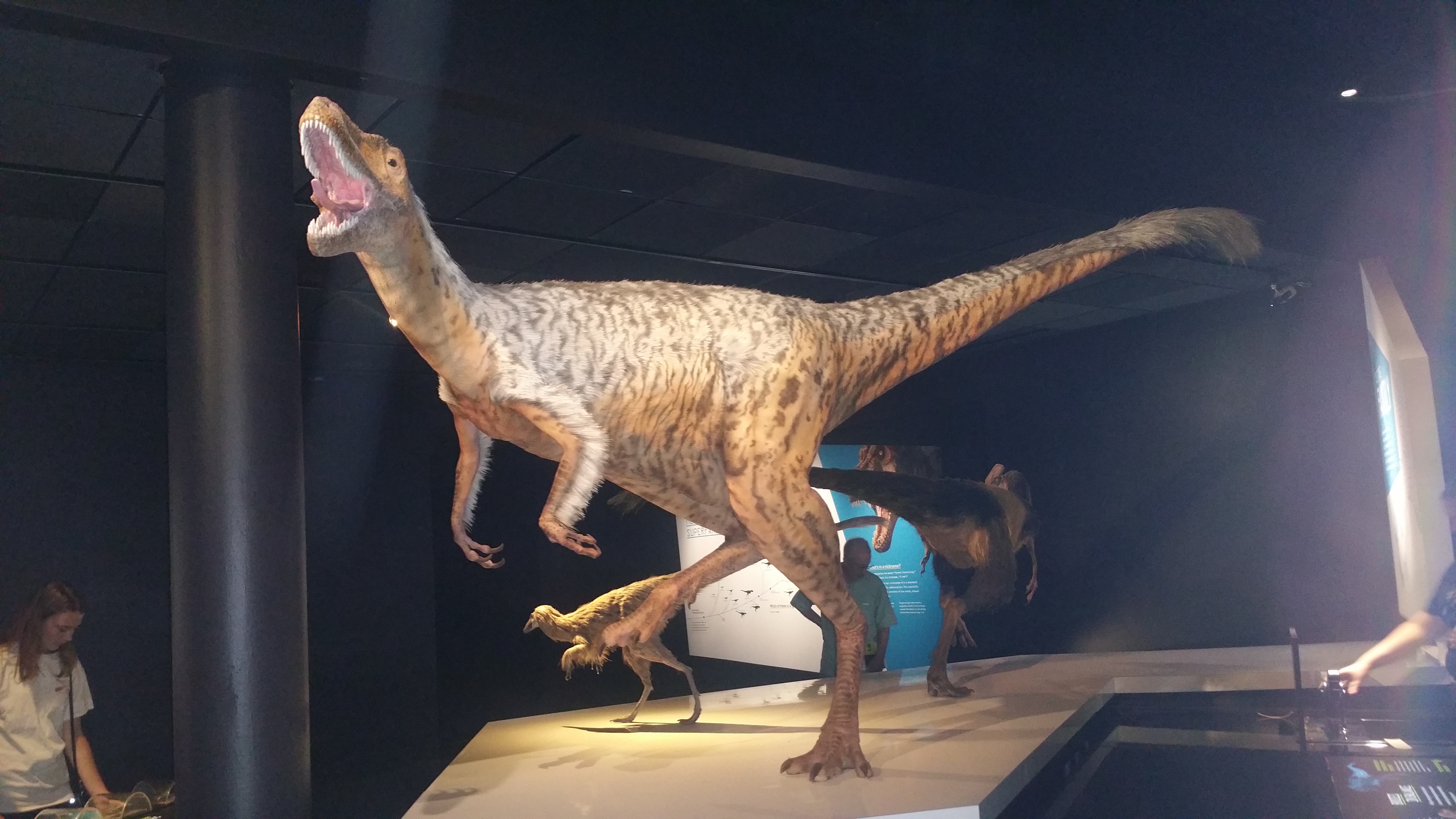 t rex flying