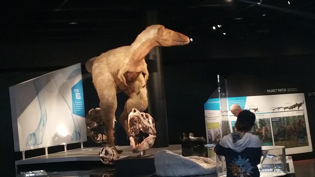 Special Exhibit: T-Rex: The Ultimate Predator at American Museum of Natural History