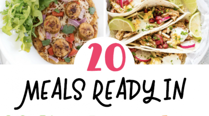 20 Meals Ready in 20 Minutes Or Less - Perfect for Busy Parents! | The Mama Maven Blog